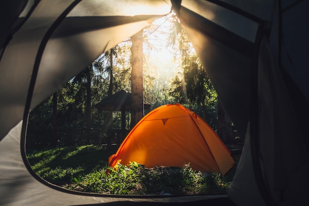 Tenda nella foresta