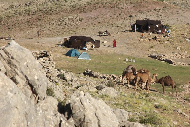 Tenda Nomade