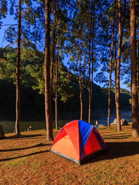 Tenda sotto l&#39;albero al mattino