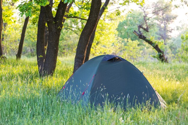 Tenda su prati