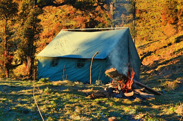 Tenda sul campo contro gli alberi