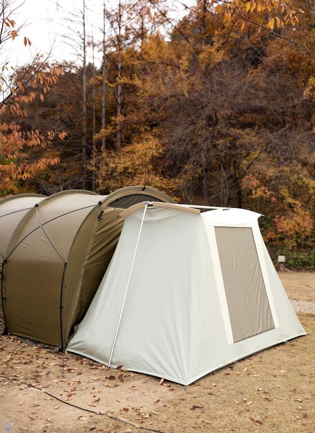 Tenda sul campo vicino agli alberi nella foresta durante l'autunno