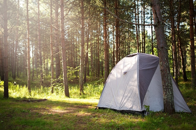 Tenda turistica installata in natura nella foresta. Turismo domestico, vacanze estive attive, avventure in famiglia. Ecoturismo, distanza sociale. Copia spazio