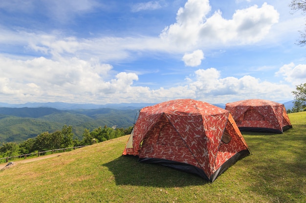 Tenda turistica nell'accampamento della foresta fra il prato