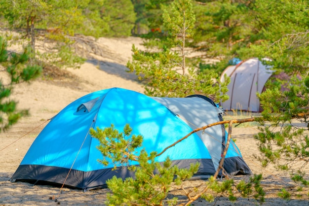 Tenda turistica verde sul lago Viaggio nei luoghi selvaggi della natura