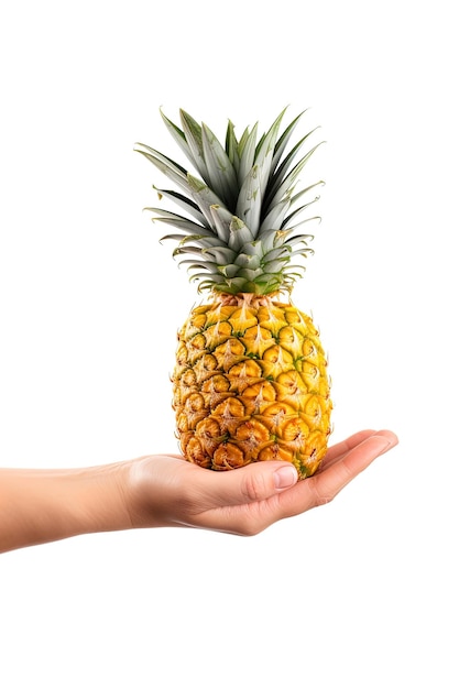 Tenere in mano l'ananas fresco isolato su sfondo bianco