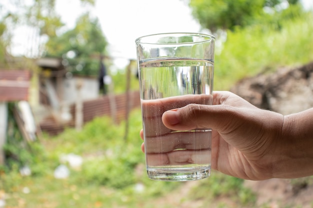 Tenere l'acqua con lo sfondo della natura