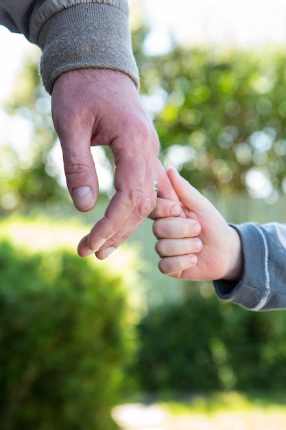 Tenersi per mano del figlio e del padre