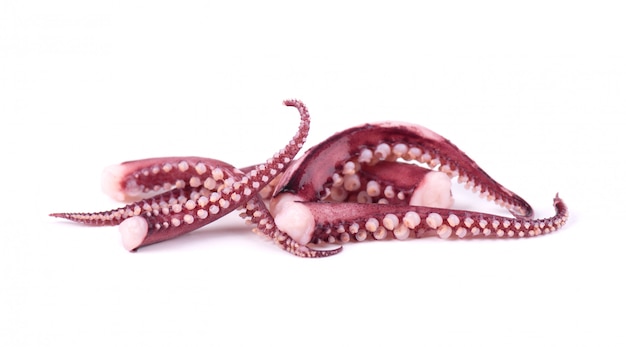 Tentacoli di calamari isolati su sfondo bianco