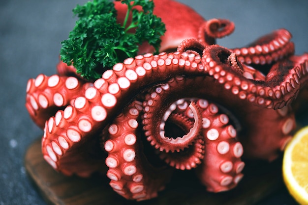 Tentacoli di polpo bollito con limone sulla piastra, cibo di polpo cotto insalata di frutti di mare seppie calamari