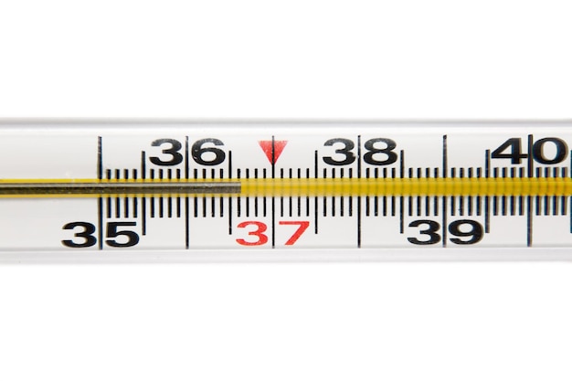 Termometro medico con una temperatura di 366 su sfondo bianco