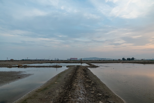 Terra alcalina salina sotto il tramonto