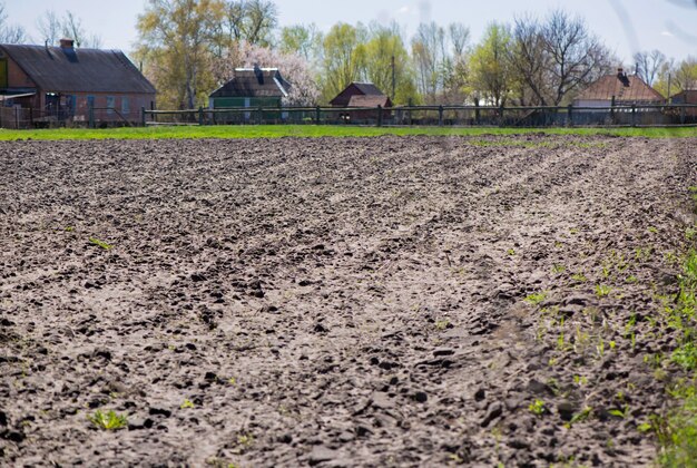 Terra arabile. Il campo aperto in primavera per le colture