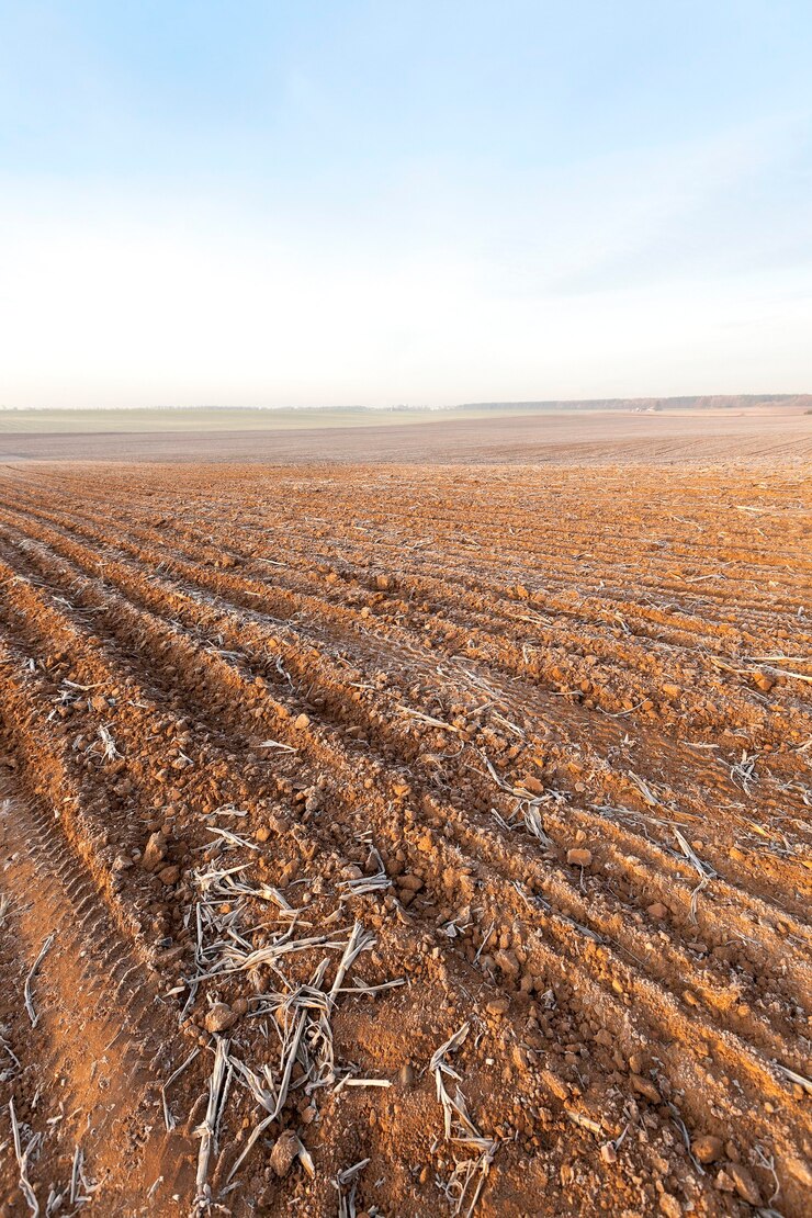 Foto terra arata, gelo - primo piano fotografato di un campo agricolo arato, il terreno è coperto di brina bianca.
