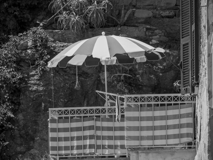Foto terra cinque