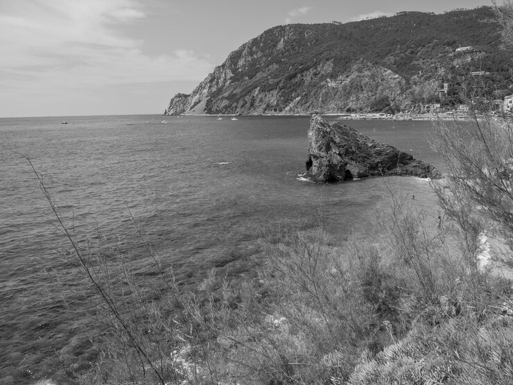 Foto terra cinque