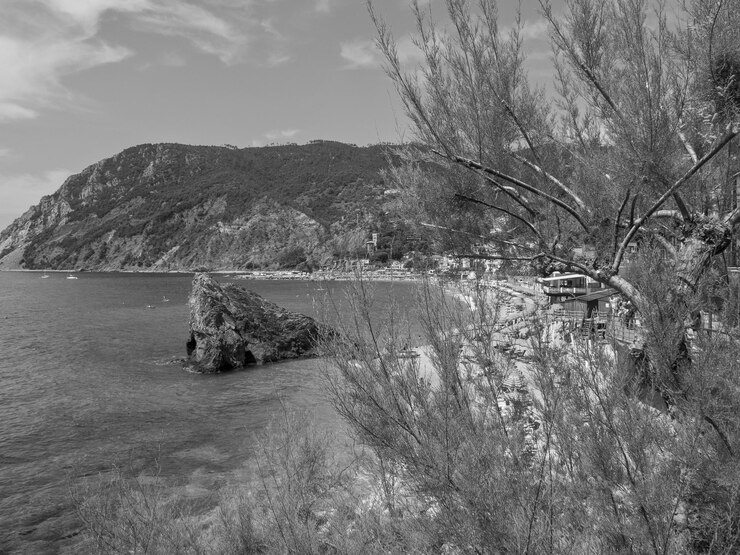 Foto terra cinque