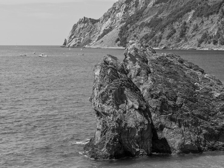 Foto terra cinque