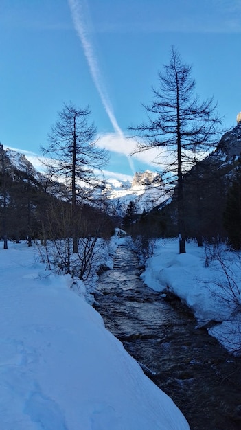 Terra coperta di neve e alberi nudi contro il cielo