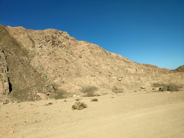 Terra desertica con montagne e mare