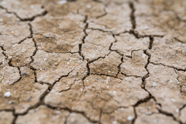 Terra incrinata asciutta, fondo di struttura del deserto dell'argilla