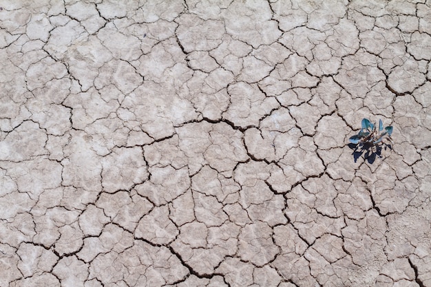 Terra incrinata e sporcizia, siccità in natura.