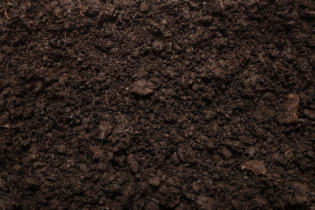Terra nera per sfondo vegetale. Vista dall'alto.