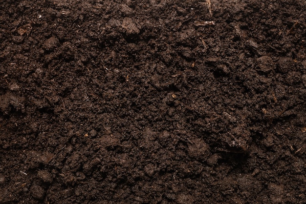 Terra nera per sfondo vegetale