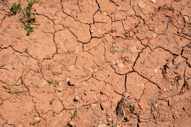 terra rossa secca con crepe, primo piano