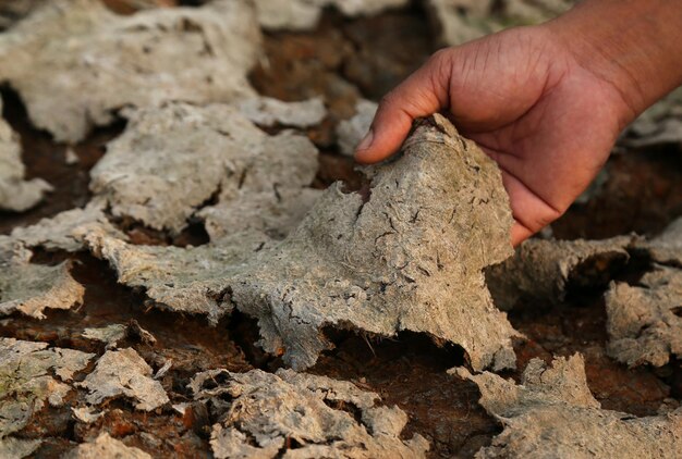 Terra screpolata a causa della siccità