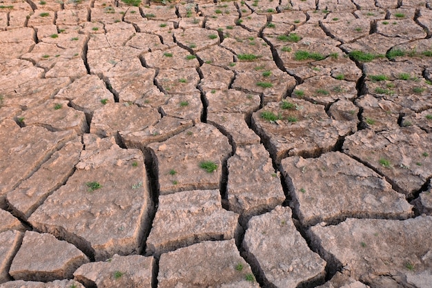 Terra secca e incrinata, terreno arido da vicino