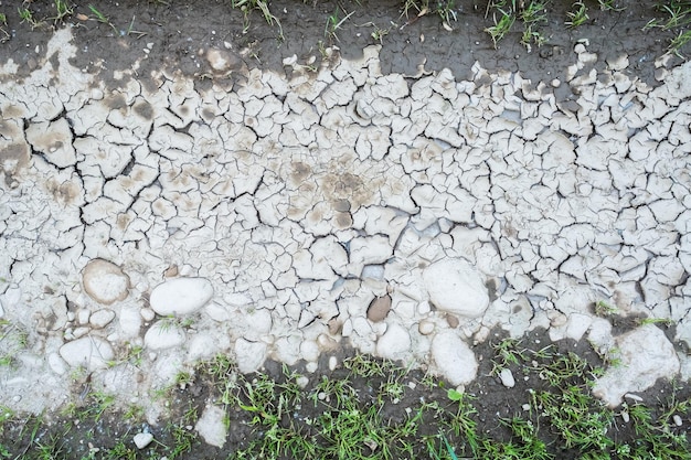 Terra secca e screpolata ed erba verde attorno ai bordi