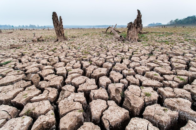 Terra secca fratturata senza acqua