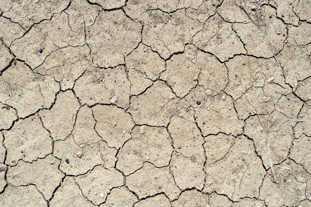 Terra secca marrone o terra incrinata nel deserto