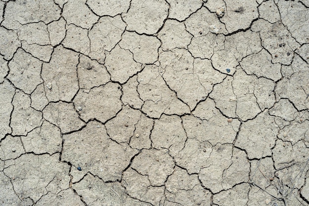 Terra secca marrone o terra incrinata nel deserto