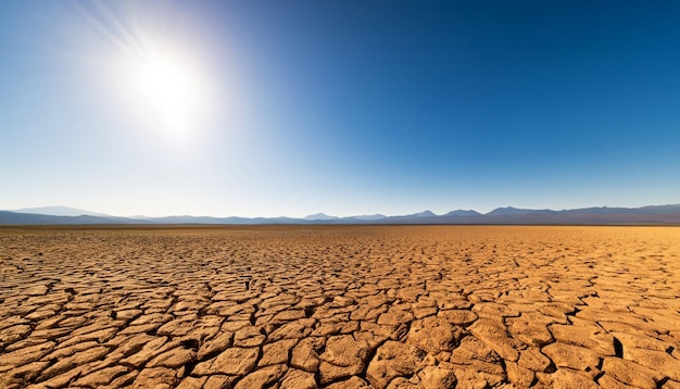 terra spaccata nel deserto