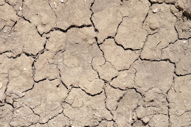 Terra sterile in estate terra morta secca in un paesaggio arido sfondo per il riscaldamento globale