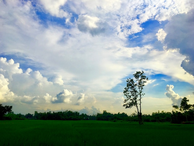 Terra verde con un bel cielo e nuvole