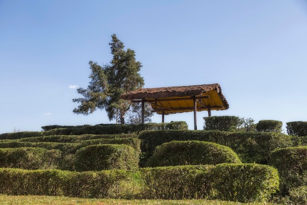 Terrazza con tè verde con alcune casette e gazebo a Hangzhou in Cina