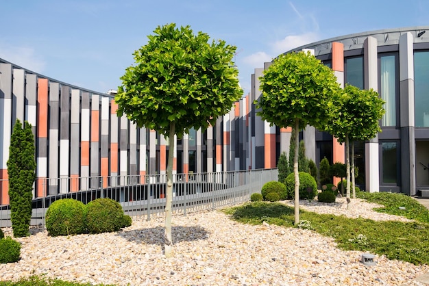 Terrazza giardino sul tetto con frangisole brise soleil sulla moderna facciata dell'edificio per uffici protezione dal calore riscaldamento globale concetto di vita sostenibile