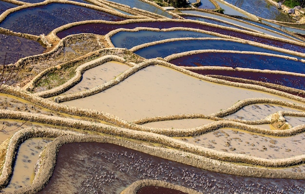 Terrazze di riso a Yuanyang, Cina