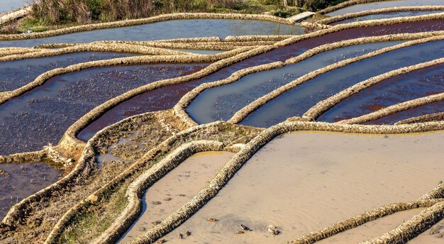 Terrazze di riso a Yuanyang, Cina