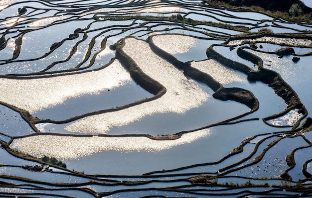 Terrazze di riso nella contea di Yuanyang. Provincia dello Yunnan. Cina.