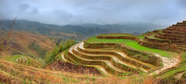 Terrazze di riso, villaggio di Dazhai, contea di Longsheng, Cina.