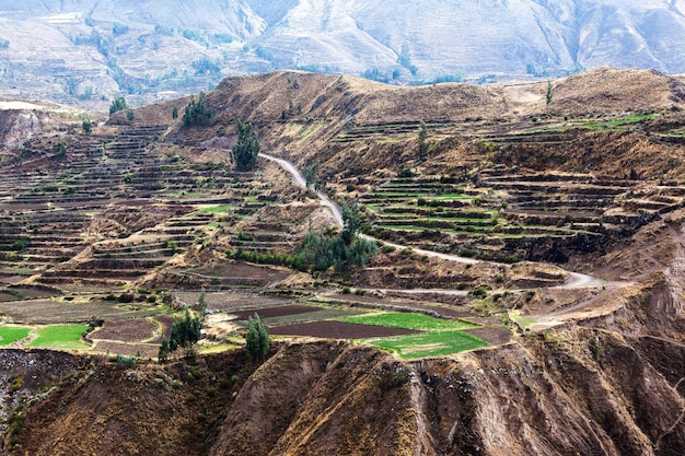 Terrazze e la strada