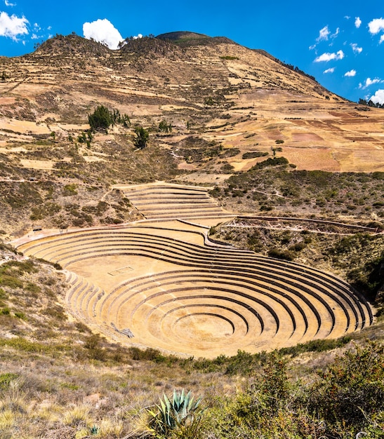 Terrazzi agricoli a Moray in Perù