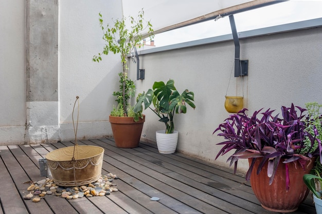 Terrazzo di un appartamento con pavimenti in legno di acacia piante decorative e vasi in pietra sottostanti