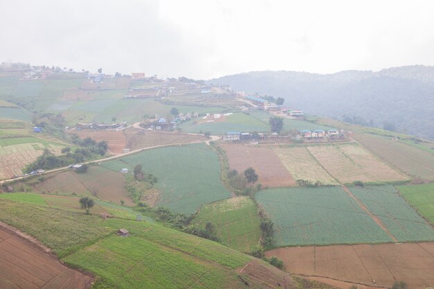 Terre agricole in montagna