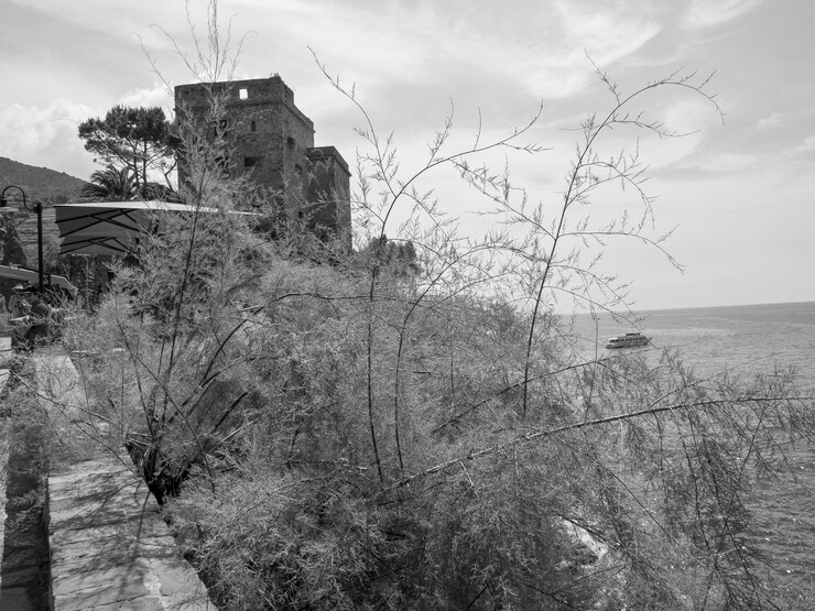 Foto terre cinque in italia