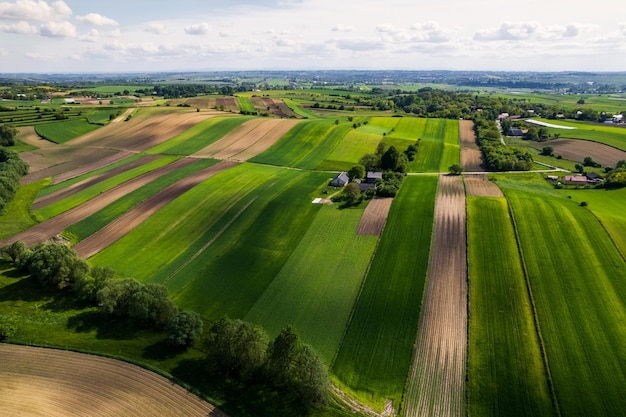 Terreni agricoli colorati e paesaggio agricolo in Polonia a vista aerea primaverile con drone